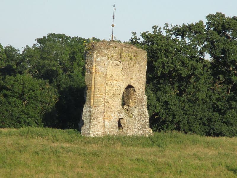 Knepp Castle